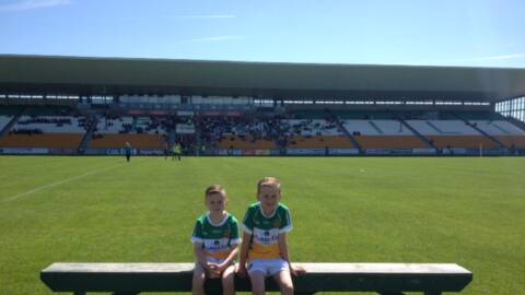 Mascots – Offaly v Longford