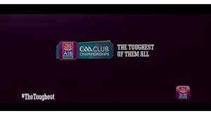 AIB Leinster Junior Club Championship Final