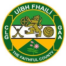 Job Advertisement – Head Of Operations – Offaly GAA