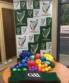 Leinster GAA “Have a Ball” Programme (5/6 year olds)