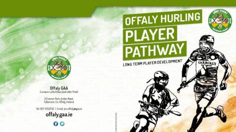Download Offaly Hurling Player Pathway