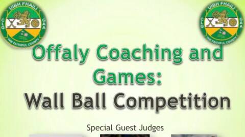 Offaly Coaching and Games Wall Ball competition