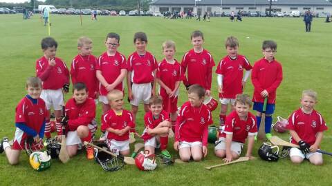 Brilliant U9 Hurling Blitz