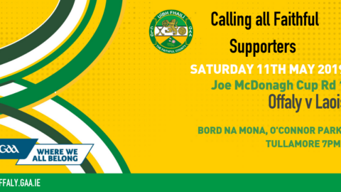 Offaly team to play Laois Announced