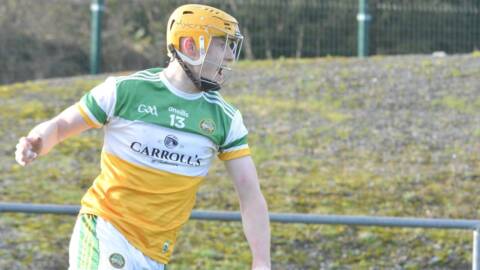 Hurlers Return To Newry For Semi-Final