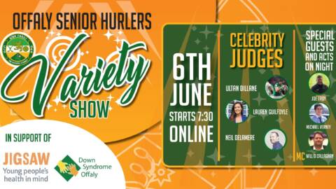 Log-In Info For Offaly Hurlers’ Virtual Variety Show For Charity