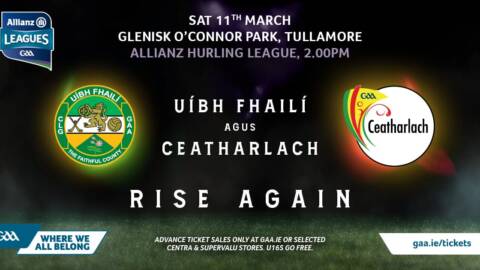 Hurlers At Home To Carlow On Saturday