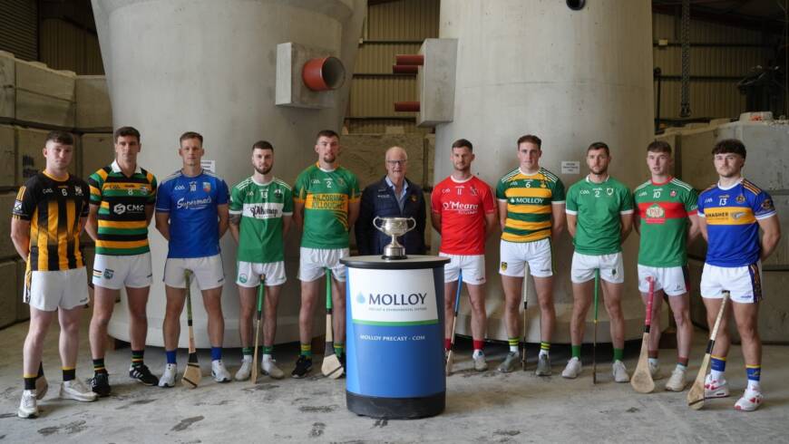 Quarter-Finals In Senior Hurling Championship